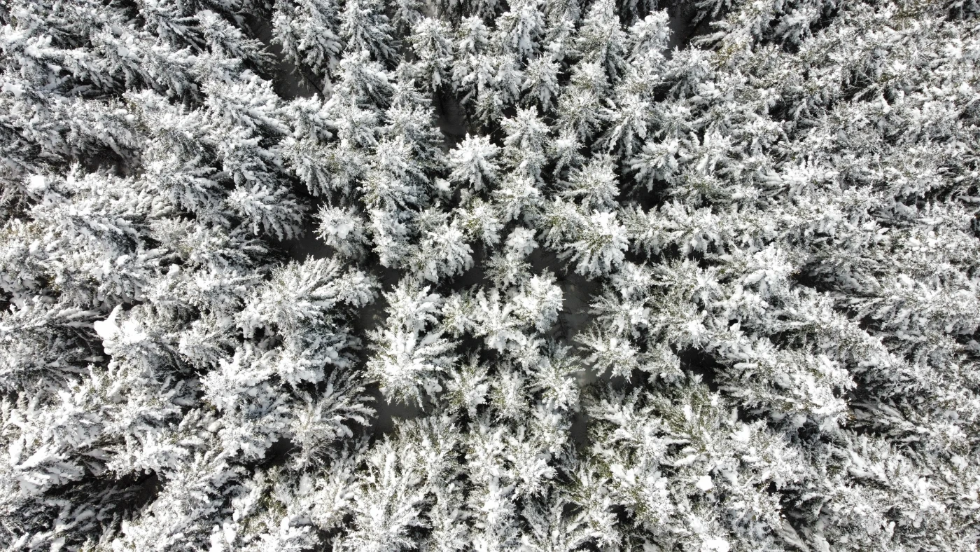 invoegen Homepage Winter in de slider, graag als eerste zichtbare foto plaatsen, de stoeltjeslift verwijderen uit de slider.